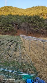 팜모닝 기타작물·영농일지 게시글 이미지