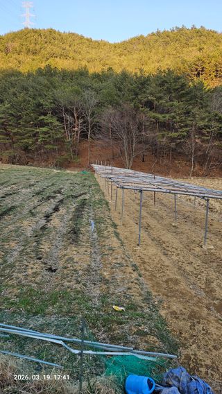 임상근님의 기타작물 · 영농일지 작성글 사진