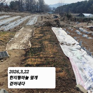 시민농장님의 기타작물 · 영농일지 작성글 사진