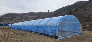 강연수님의 벼 · 영농일지 작성글 사진