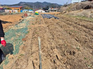 이준영님의 참깨 · 영농일지 작성글 사진