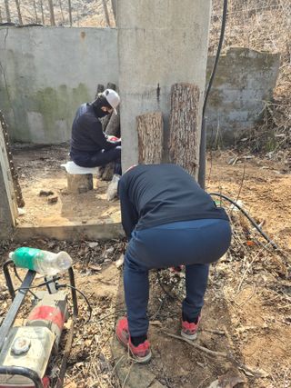 엉뚱님의 기타작물 · 영농일지 작성글 사진