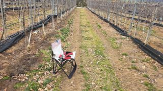 축복의땅 에덴동산님의 사과 · 영농일지 작성글 사진