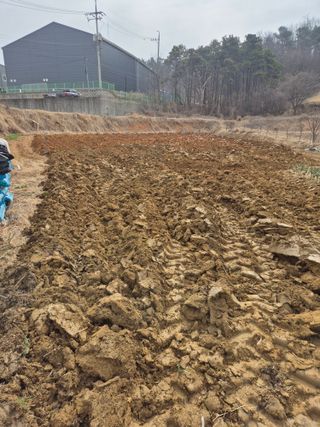 상추14782님의 기타작물 · 영농일지 작성글 사진