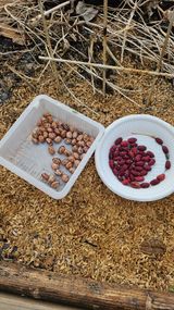 팜모닝 기타작물·영농일지 게시글 이미지