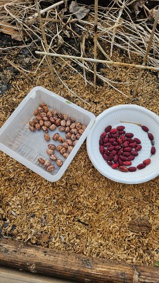 유기농으로키우자님의 기타작물 · 영농일지 작성글 사진