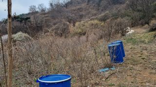 김동명님의 기타작물 · 영농일지 작성글 사진