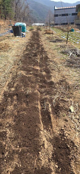 돌복숭아님의 기타작물 · 영농일지 작성글 사진