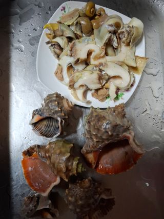 결단이님의 기타작물 · 영농일지 작성글 사진