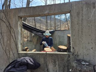 엉뚱님의 기타작물 · 영농일지 작성글 사진