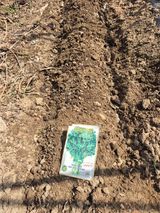 팜모닝 파·영농일지 게시글 이미지