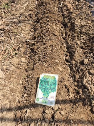 행복하게~님의 파 · 영농일지 작성글 사진