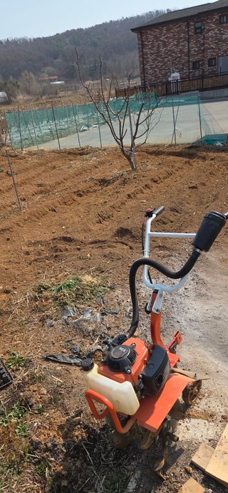 김성필님의 기타작물 · 영농일지 작성글 사진