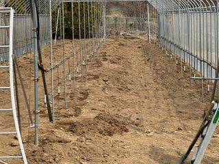 이익수님의 사과 · 영농일지 작성글 사진