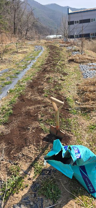돌복숭아님의 기타작물 · 영농일지 작성글 사진