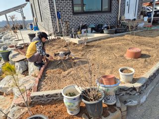 송명식님의 기타작물 · 영농일지 작성글 사진