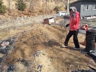 김준태님의 기타작물 · 영농일지 작성글 사진