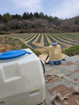 김성환님의 기타작물 · 영농일지 작성글 사진