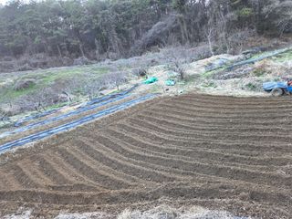 장흥식님의 기타작물 · 영농일지 작성글 사진