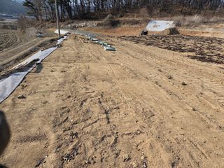 최연숙님의 기타작물 · 영농일지 작성글 사진