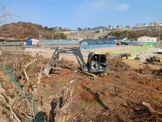 홍순복님의 고추 · 영농일지 작성글 사진