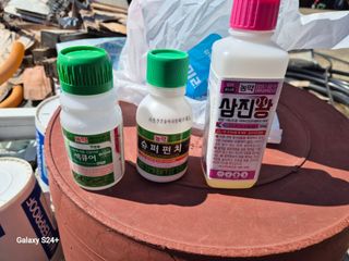 더 드림 농원님의 포도 · 영농일지 작성글 사진