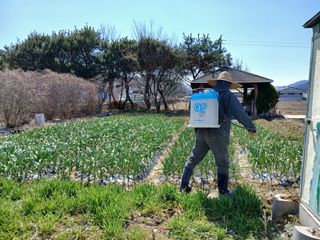 최남옥님의 기타작물 · 영농일지 작성글 사진