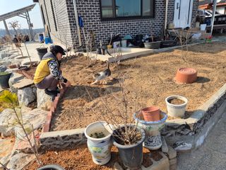 송명식님의 기타작물 · 영농일지 작성글 사진