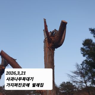 시민농장님의 기타작물 · 영농일지 작성글 사진