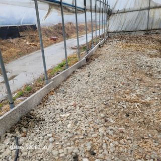 정찬영님의 기타작물 · 영농일지 작성글 사진