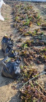 초연동행님의 작성글 사진