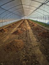 팜모닝 기타작물·영농일지 게시글 이미지