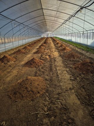 농민님의 기타작물 · 영농일지 작성글 사진