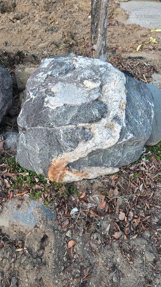 축복의땅 에덴동산님의 사과 · 영농일지 작성글 사진