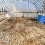 팜모닝 기타작물·영농일지 게시글 이미지