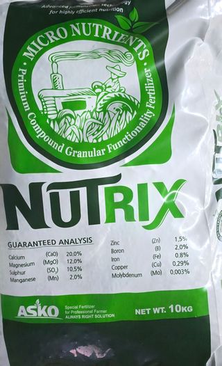 서현철님의 기타작물 · 영농일지 작성글 사진