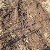 팜모닝 기타작물·영농일지 게시글 이미지