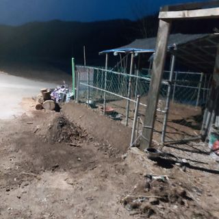 가로수님의 기타작물 · 영농일지 작성글 사진