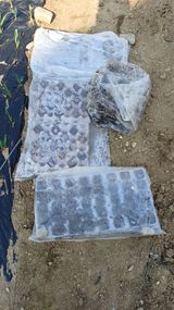 팜모닝 배추·영농일지 게시글 이미지