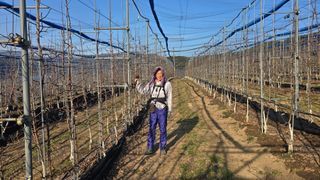 축복의땅 에덴동산님의 사과 · 영농일지 작성글 사진