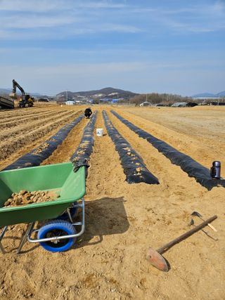 장은주님의 감자 · 영농일지 작성글 사진
