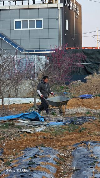 최연태님의 기타작물 · 영농일지 작성글 사진