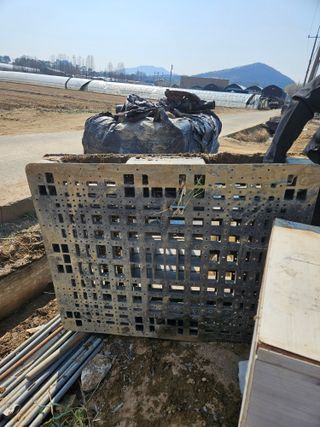 장은주님의 기타작물 · 영농일지 작성글 사진