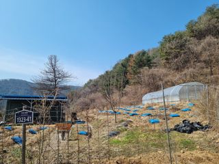 심기섭님의 기타작물 · 영농일지 작성글 사진