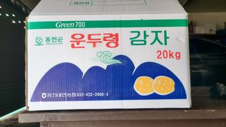 고춘석(고랑과이랑)님의 감자 · 영농일지 작성글 사진