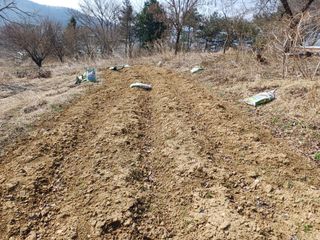 김진현님의 기타작물 · 영농일지 작성글 사진