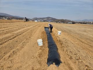 장은주님의 감자 · 영농일지 작성글 사진