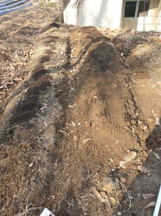 샤이니바다님의 기타작물 · 영농일지 작성글 사진