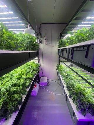 정종배님의 기타작물 · 영농일지 작성글 사진