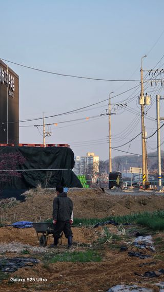 최연태님의 기타작물 · 영농일지 작성글 사진